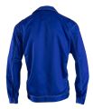 Bluza Brixton classic 5 plecy.jpg