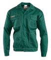 Bluza Brixton classic zielona.jpg