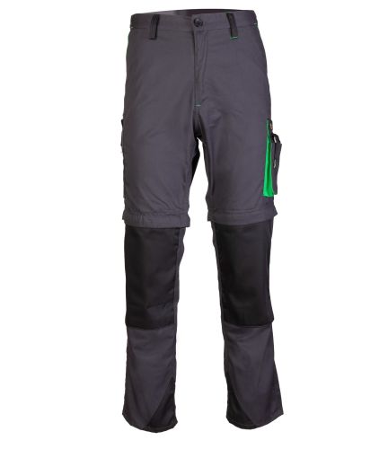 pas-1.jpg